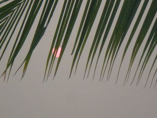 Sonnenuntergang am Mekong