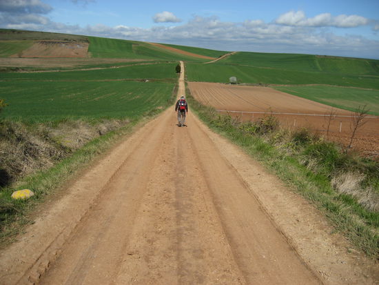hinter dem Huegel sahas genauso aus....
Das bin ubrigens ich beim schlimmsten Hinkgang...