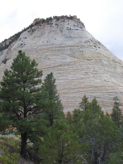 Am oestlichen Engang des Zion National Parks