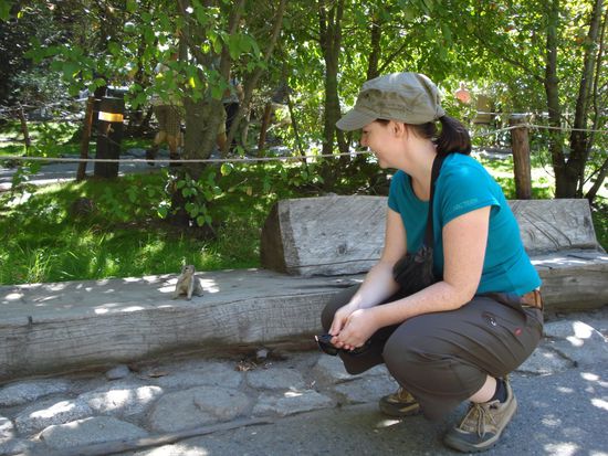 ueberall gibts squirrels. aber sie sind einfach suess