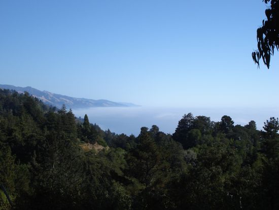 Das Nebelmeer von oben