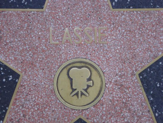 Stellvertretend fuer alle anderen