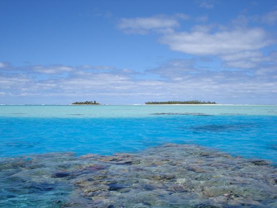 Honeymoon Island (links)