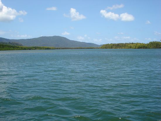 Daintree River