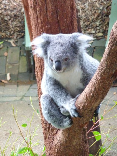 auch der bewegt sich..