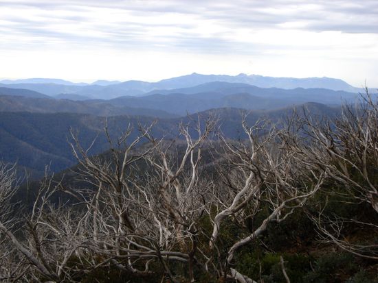 auch irgendwie etwas gespenstig...