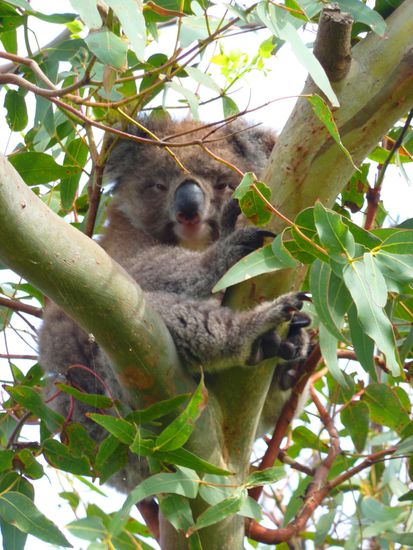 Einmal Baby ohne Mami ..