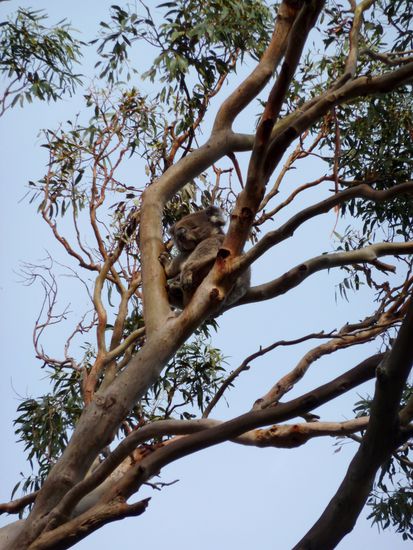 die Aussicht von da oben ist sicher schoen 