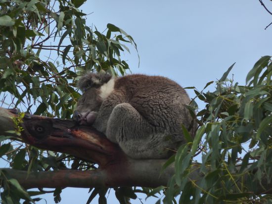 ... da Mami schlaeft 