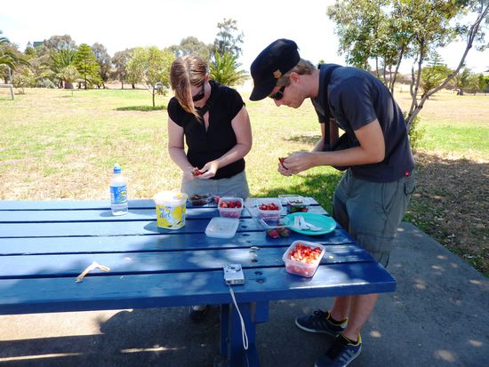 ein typisches Picknick!