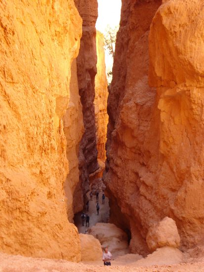 Der Navajo Loop Trail