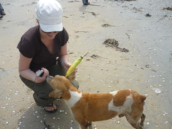 unser neuer Freund Raeudi