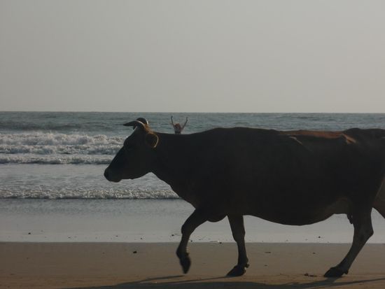 Ruth ist auch drauf!