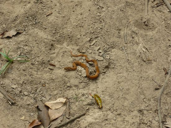 noch klein, aber hats in sich!