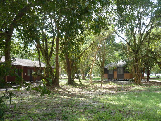 "Geister" - Bungalow- Siedlung/ Affenstadt