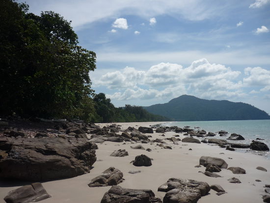 Schildkroeten - Strand