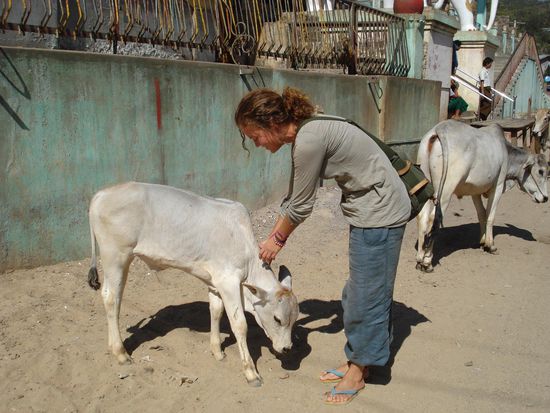 Siehe auch Indien, Kapitel "Mysore"