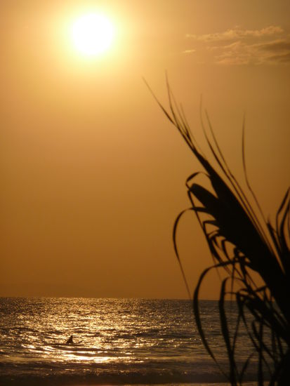 Soll ich dazu noch was sagen....?