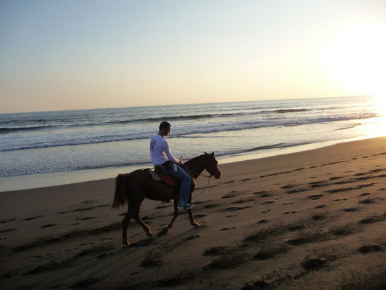 Die Pferde sind hier nicht gerade gross geraten 