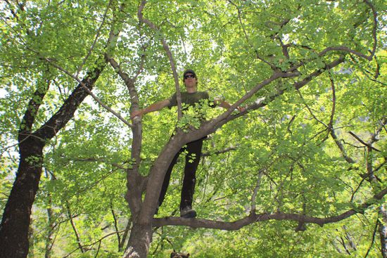 Uggah, uggah....wedermole am umeblödele