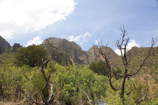 Das ganze Tal liegt etwa 1500 Meter über Meer =)