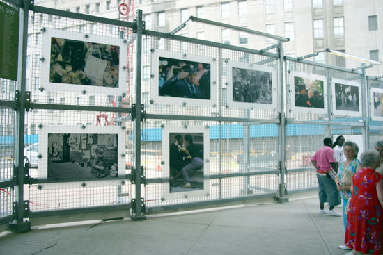 Bilder der Tragödie