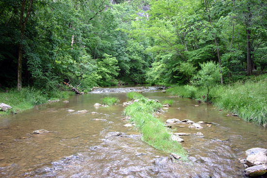 Am Cedar Creek
