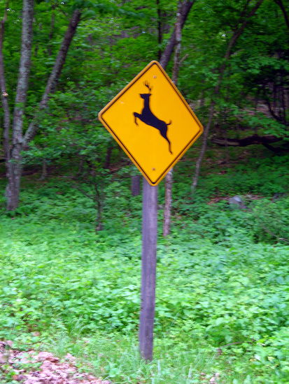 Nicht wahr, Hartmut?