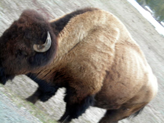 Jetzt ist es aber nah genug