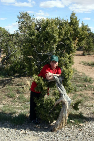 Claudi beim Imprägnieren ihres neuen Shirts