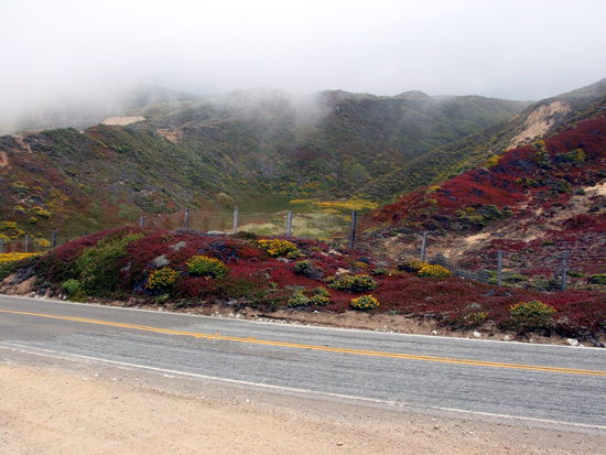 Frühmorgens hatte es noch stellenweise Nebel