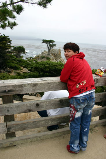Am Lone Cypress Tree