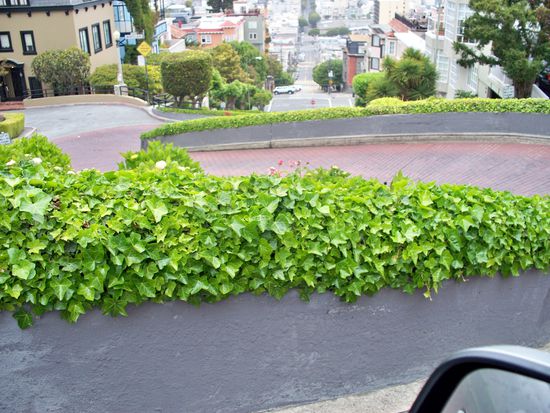 Im Serpentinendschungel