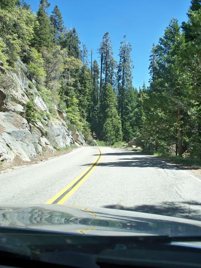 Auf der Fahrt zum Giants Forest