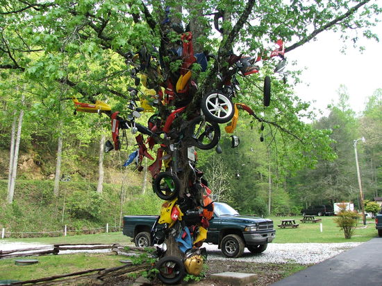 Bei Deals Gap befindet sich der Tree of Shame. Dieser ist mit Auto- und Motorradteilen dekoriert, welche auf dem Dragon verunfallt sind.