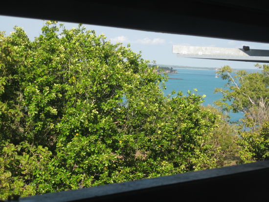 der Ausblick beim Fenster putzen