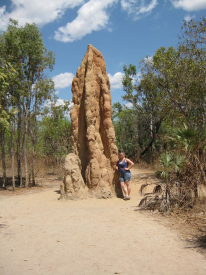 Termitenhuegel - sind die riesig