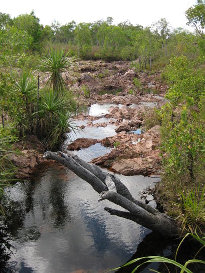 Auf unserer Wanderung bei 33 Grad in der Mittagshitze, ohne Trinken (wie schlau wir mal wieder waren) um die bekanntesten Wasserfaelle da - die Wangi Falls