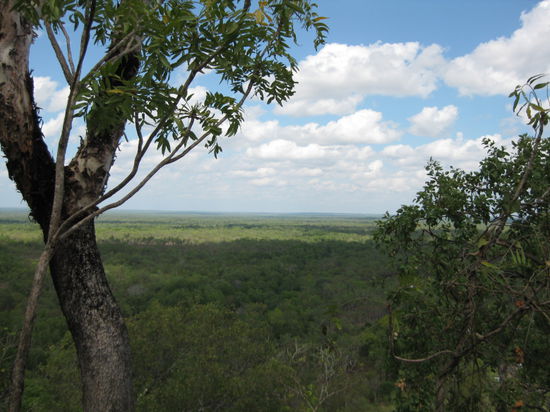 Die Aussicht ueber den Litchfield Park