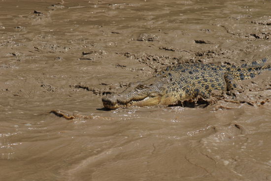 gut fuer die Haut, das Schlammbaden
manche bezahlen da viel Geld dafuer