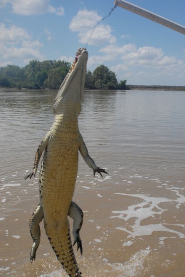 und weils so schoen war gleich nochmal