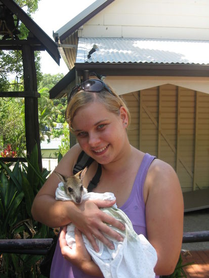 Findelkaengerruhs in Kurranda