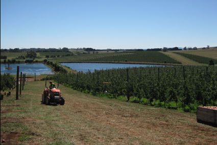 ein kleiner Einblick in die Farm