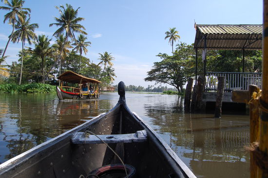 Backwater in Kerala