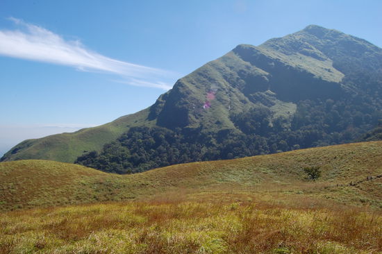Trekkingday
