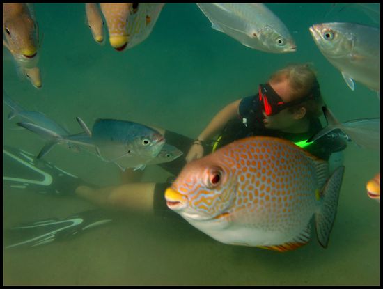 der Diveinstructor