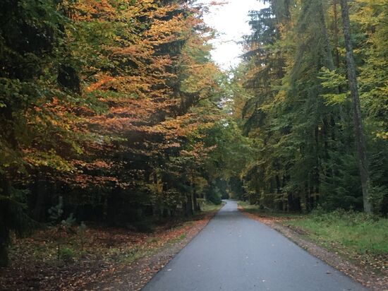 19 Märchenwald bei Hesselbach