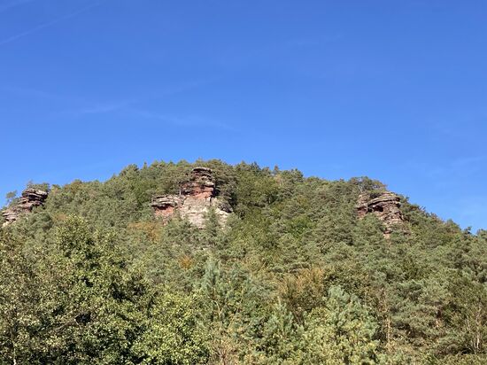 28 Sandsteinfelsen in Rinnthal