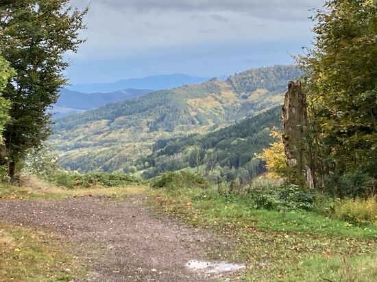 38 Col de Charbonniere - Blick in Richtung Fochy