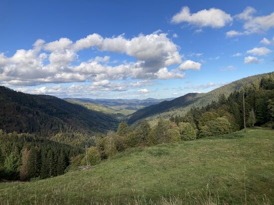 42 oberhalb von Saint Marie aux Mines - aber mit Beharrlichkeit manchmal